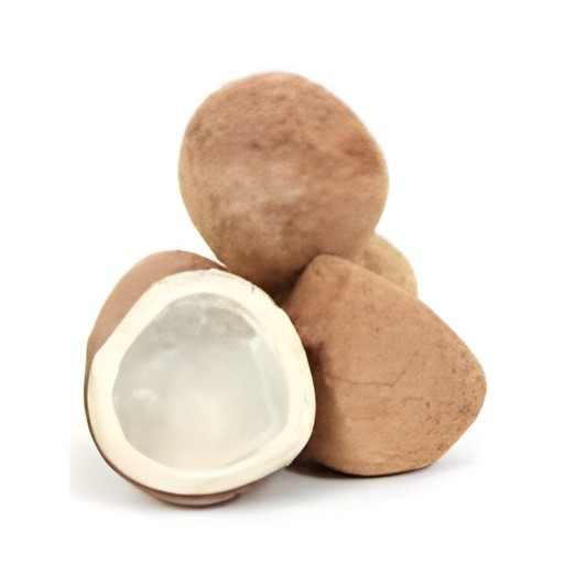Dried Coconut 1 LBS