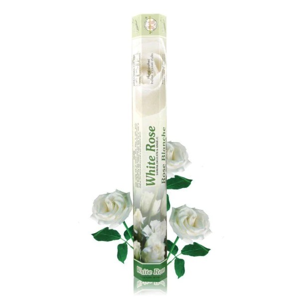 Flute White Rose 1 PACK
