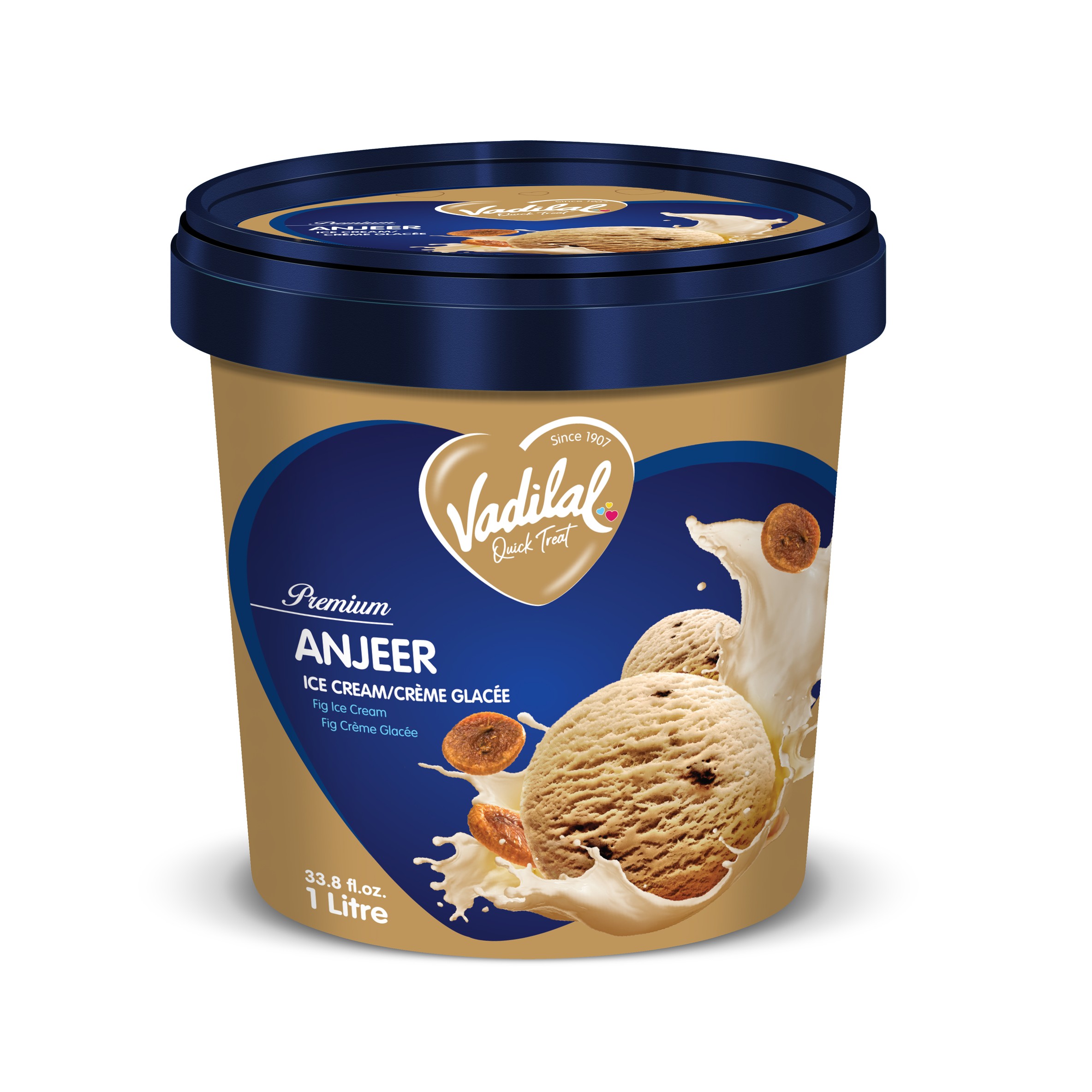 ANJEER ICE CREAM VADILAL 100 ML