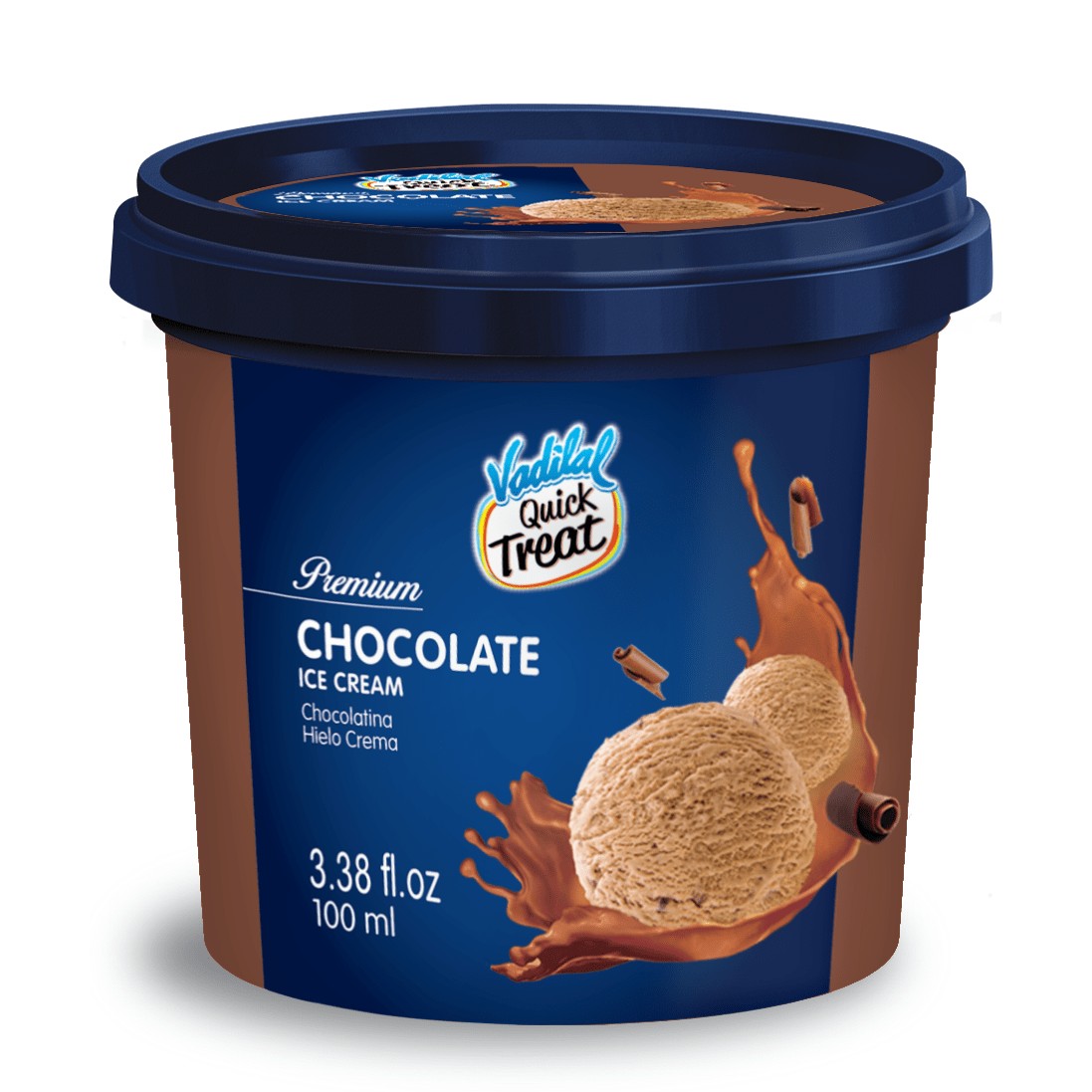 CHOCOLATE ICECREAM VADILAL 100 ML