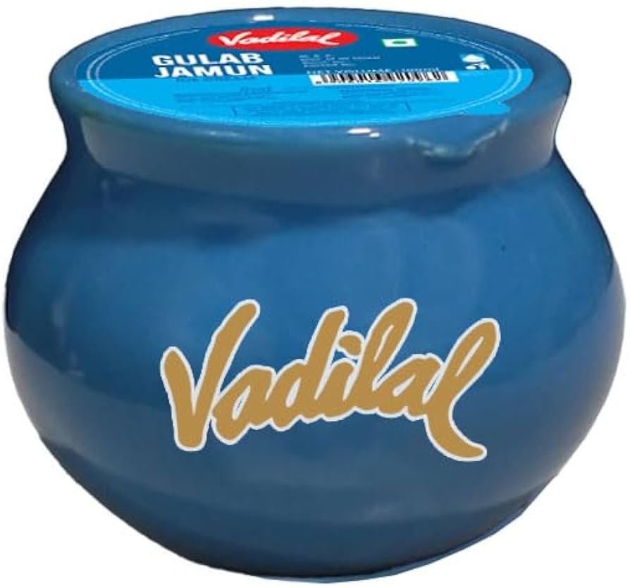 VADILAL GULAB JAMUN ICE CREAM 100 ML