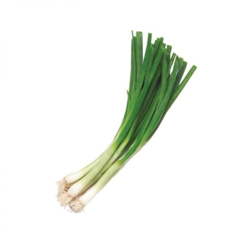 XE GREEN LASAN 312 GM