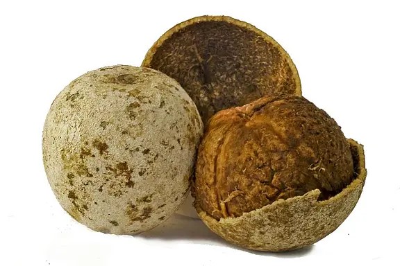 KX KOTTHA WOOD APPLE TIKKI 312 GM