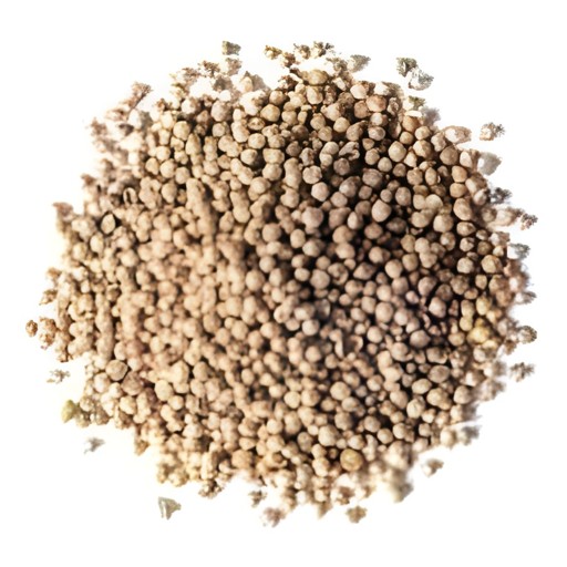 Ramdev Coriander Seed 14 OZ
