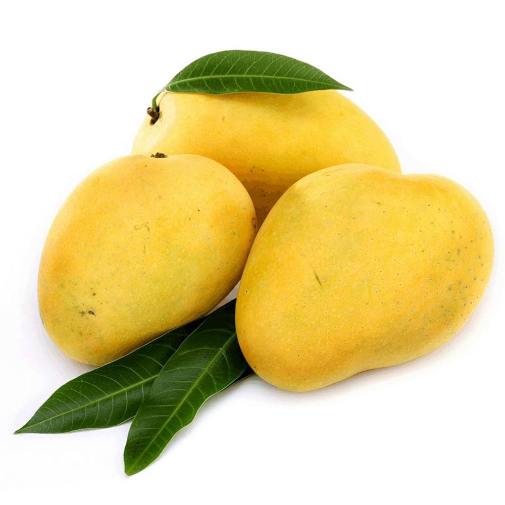 GOLE MANGO  WHITE BOX 1 CASE