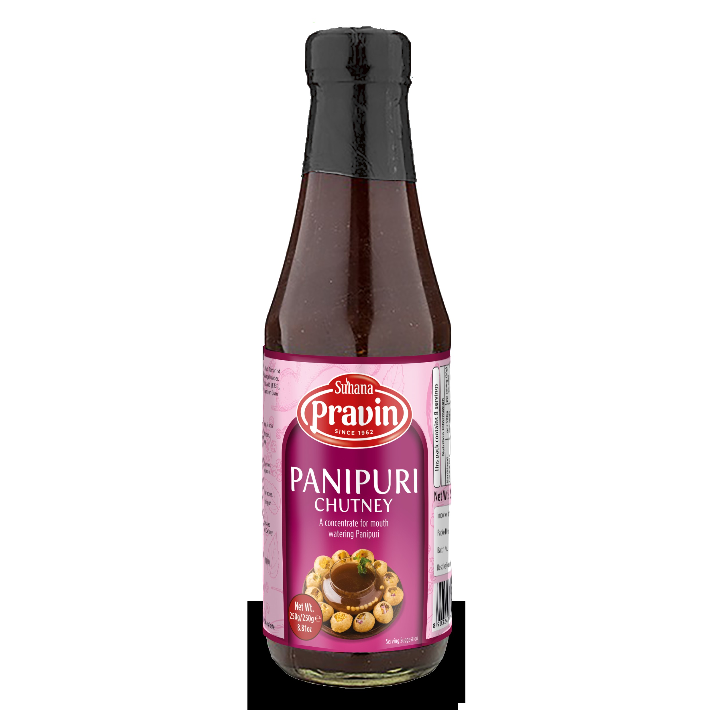 PRAVIN PANI PURI CHUTNEY 250 GM