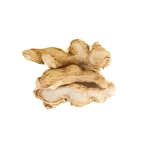 NILAMELS DRY GINGER 300 GM