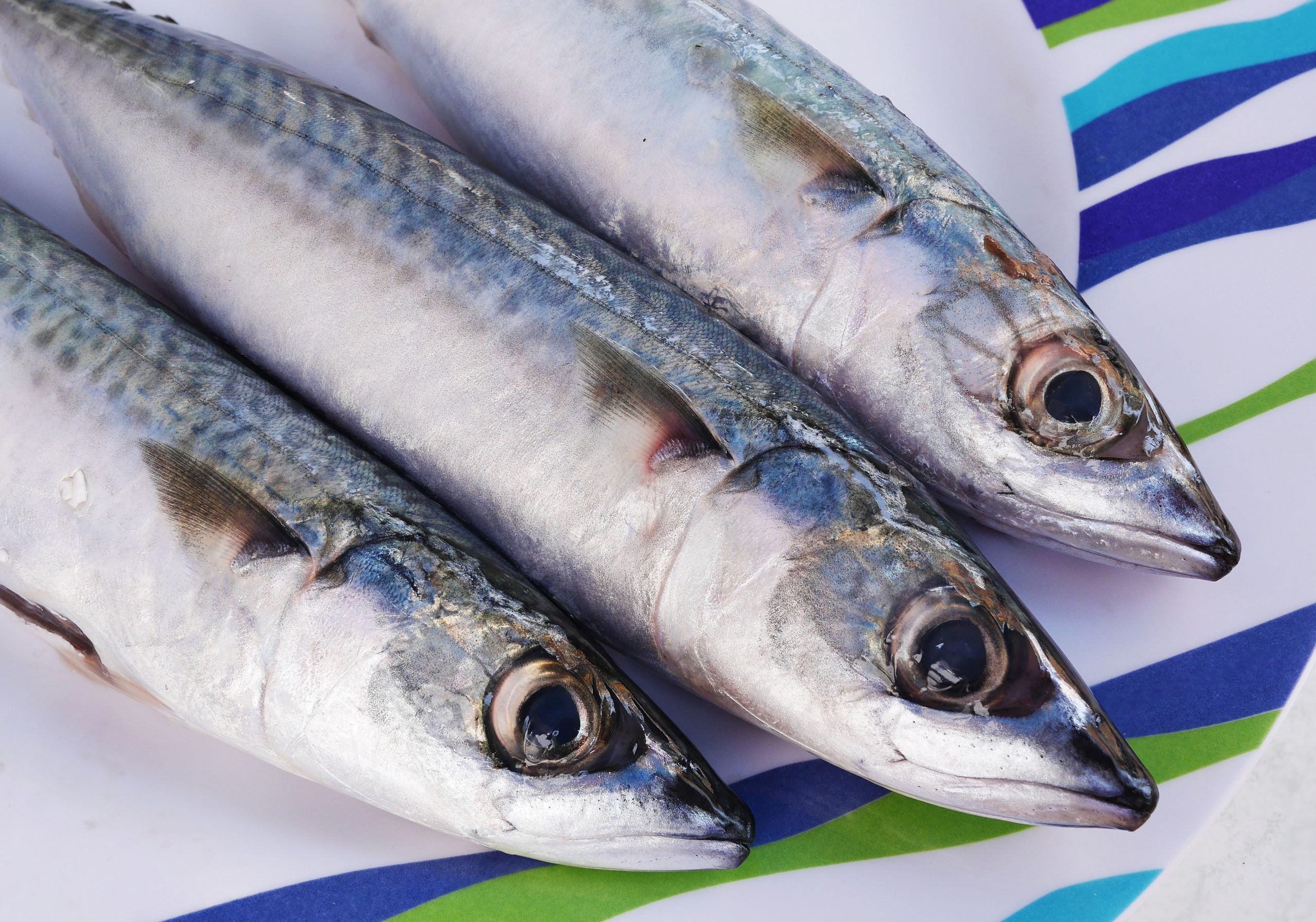 MF Mackeral Dressed