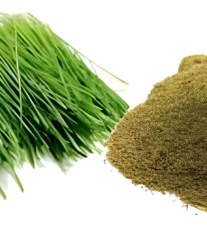 NFS BERMUDA GRASS PDR 100 GM