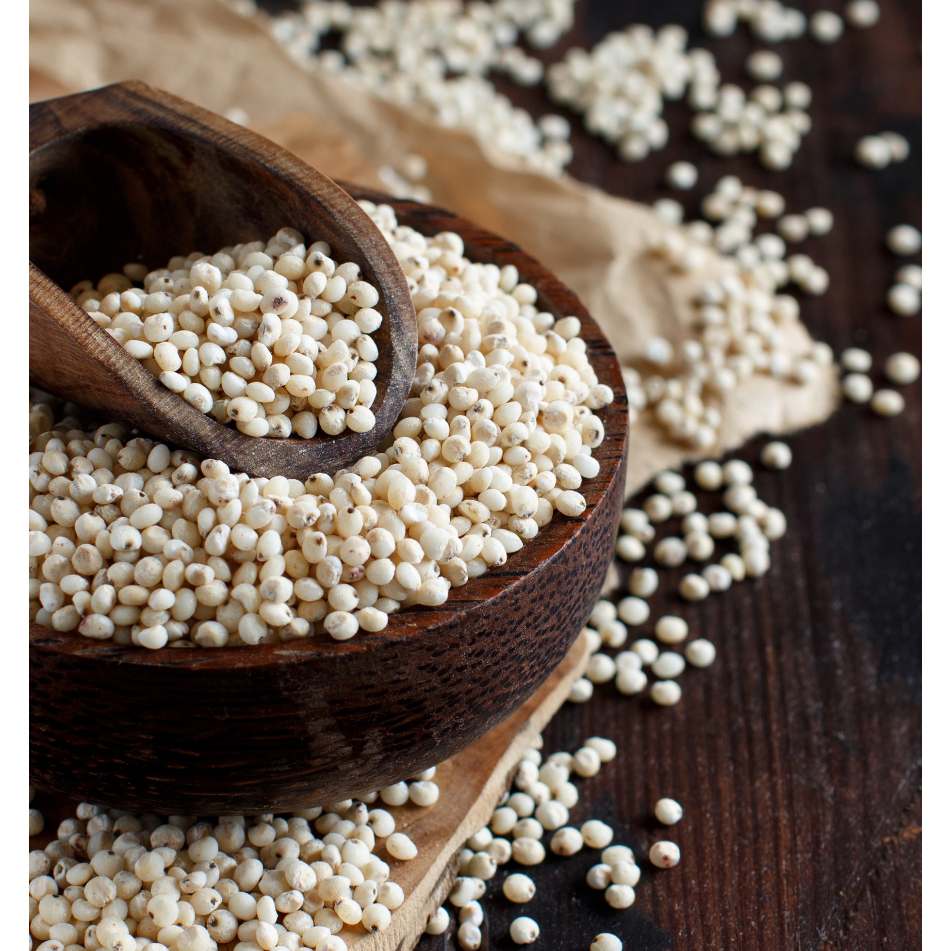 NATIVE FOOD JOWER 500 GM