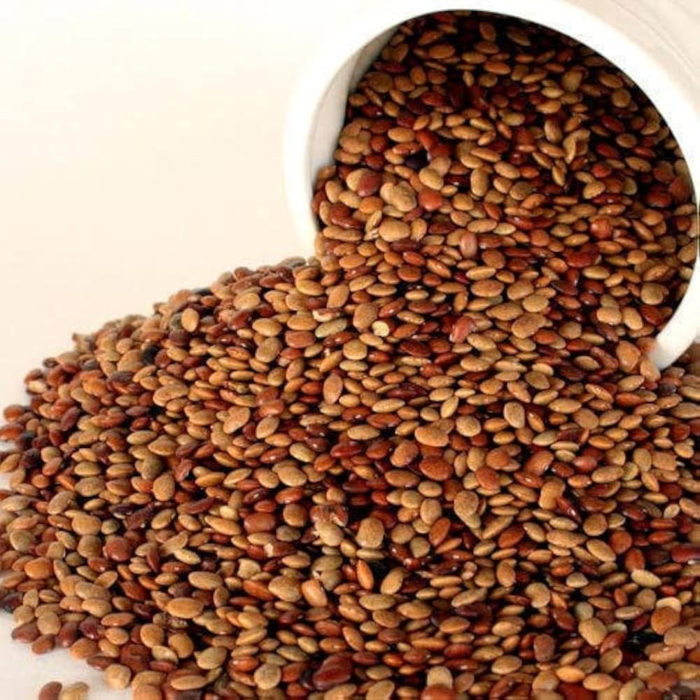 NATIVE FOOD HORSE GRAM 500 GM