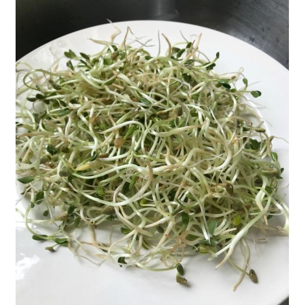 NFS SPROUTED FENUGREEK MIX 200 GM