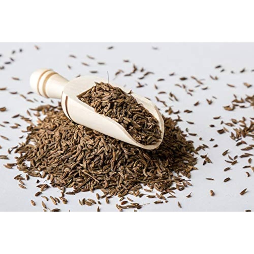 FE CUMIN SEED 14 OZ