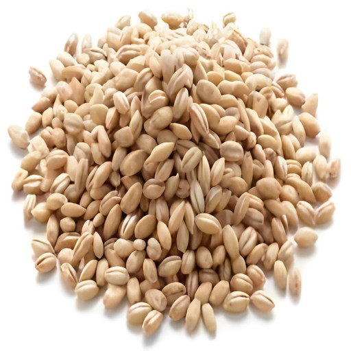 24 M Pearled Barley 2 LBS