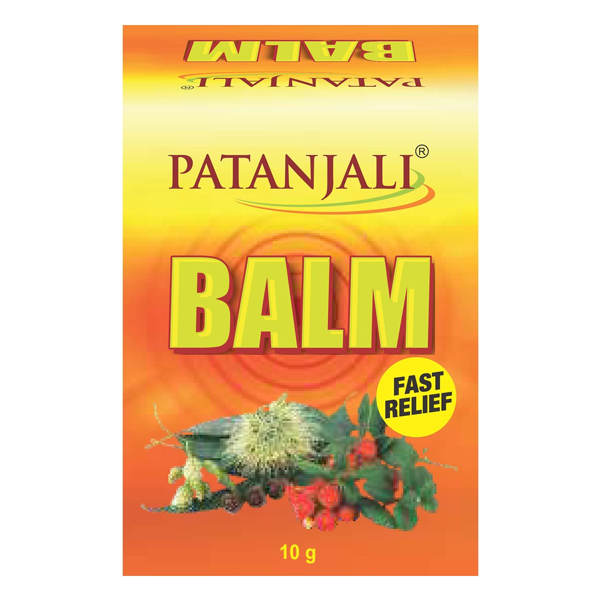 PATANJALI BALM 10 GM