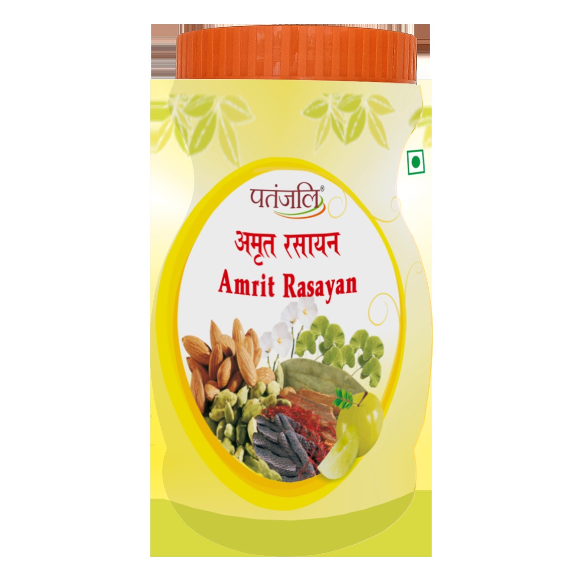 Patanjali Amrit Rasayan 1 KG