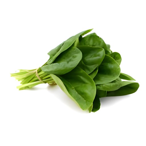 GREENTECH SPINACH 340 GM