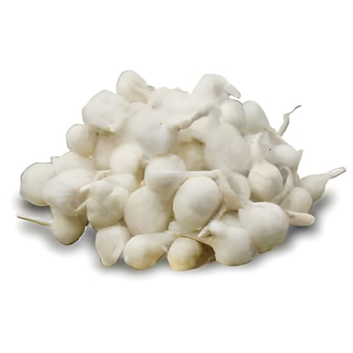COTTON WICK ROUND GRAIN MARKET 1 EACH