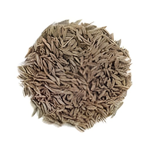 Adani Cumin Seeds 100 GM