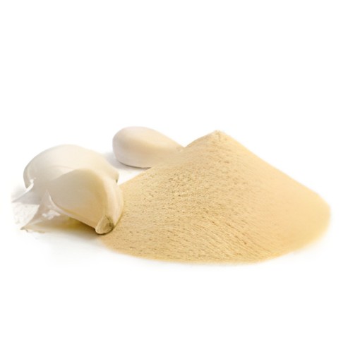 Adani Ginger Powder 100 GM