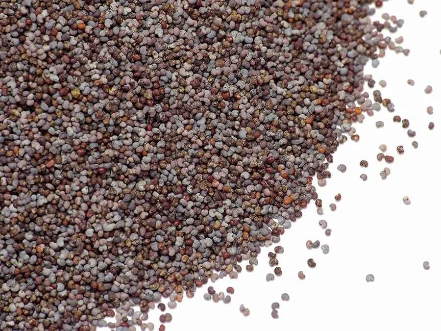 Adani Poppy Seeds 400 GM