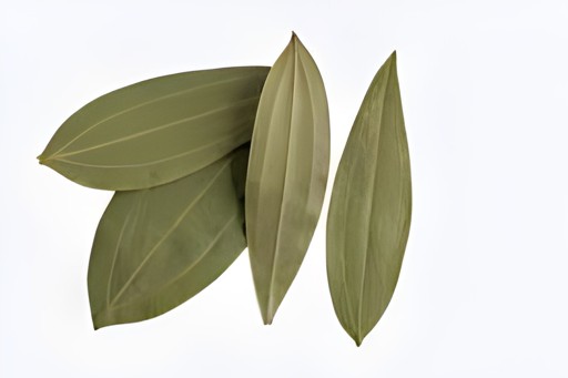 Adani Bay Leaves 25 GM