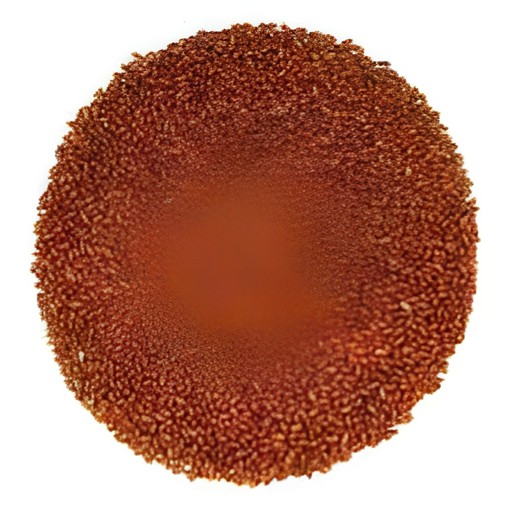 ASERIO ADANI 7 OZ