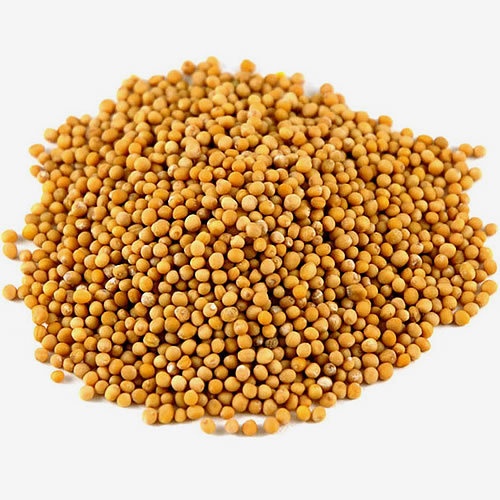 Adani Mustard Seed Y 400 GM