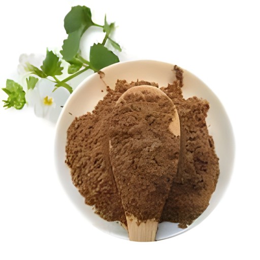Adani Brahmi Powder 100 GM
