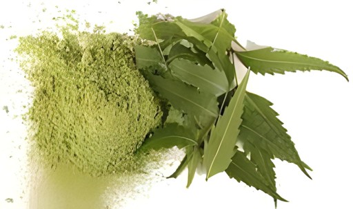 Adani Kadva Neem Powder 100 GM