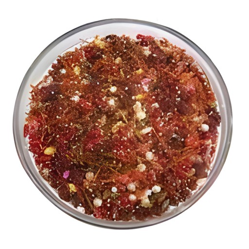 Adani Mint Mukhwas 190 GM