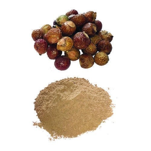 Adani Aritha Powder 100 GM