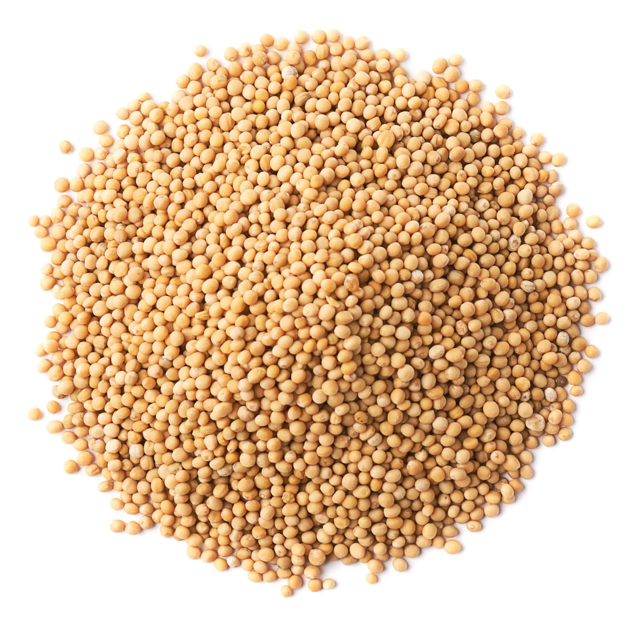 Adani Mustard Seeds Big 400 GM