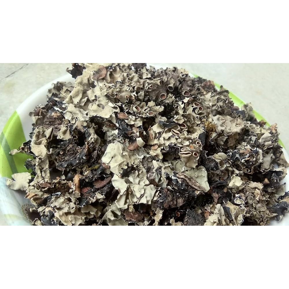 Adani Dagad Phool 50 GM
