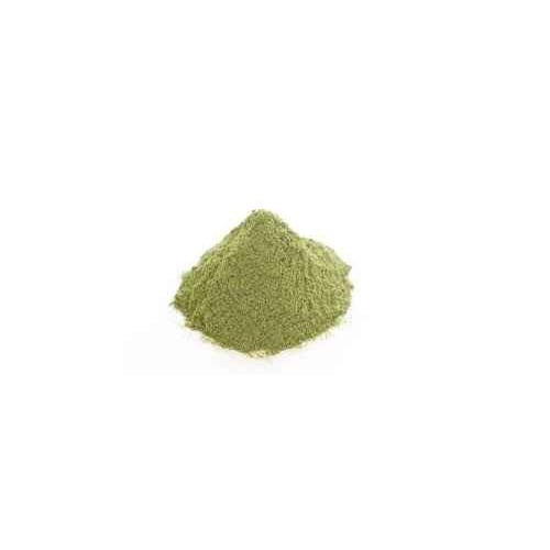 Adani Dry Mint Powder 200 GM