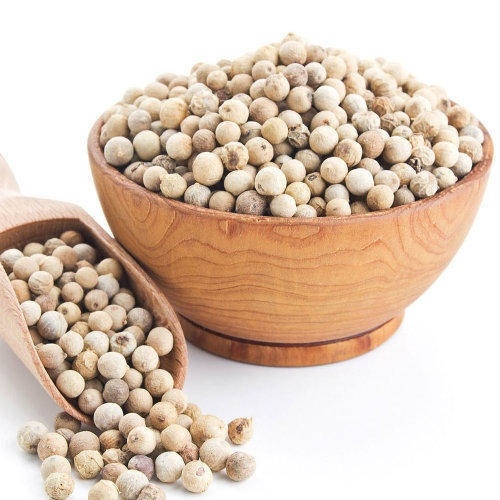 Adani Schez Pep Whl 50 GM