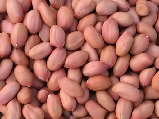 PEANUT RAW BALAJI 2 LBS
