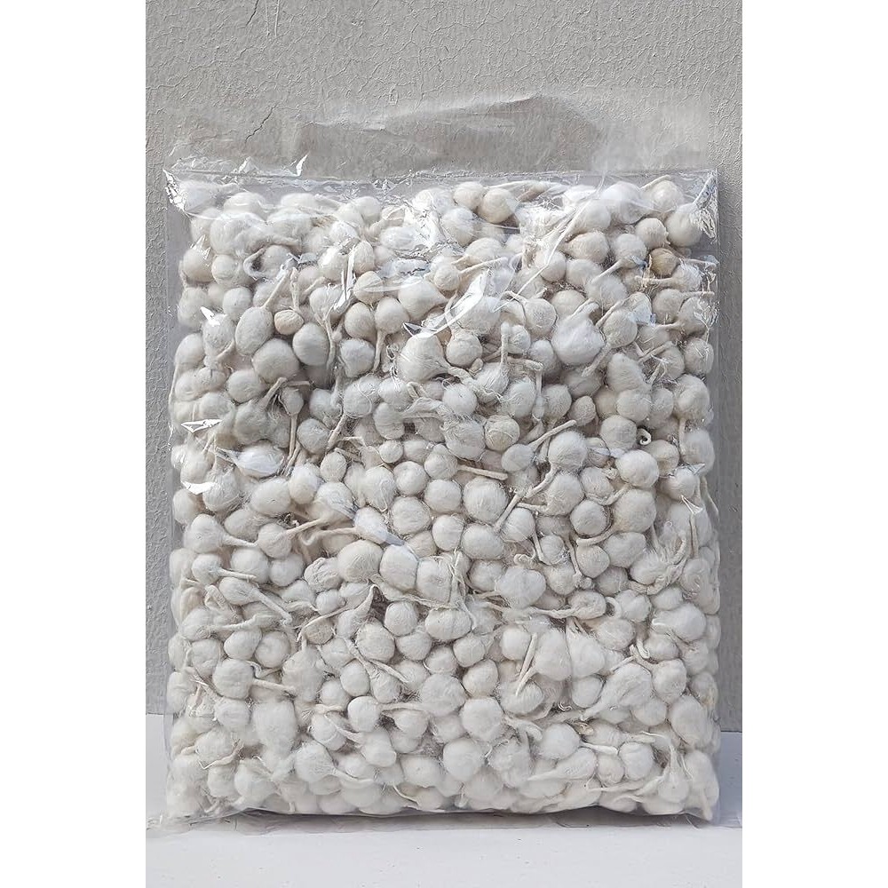 Balaji Phool Divet 100 PCS