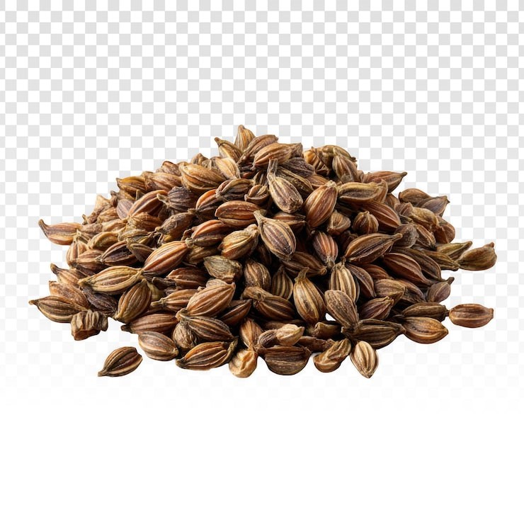 AJWAIN SEED INDIA BAZAAR 200 GM