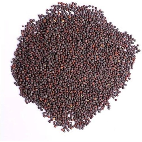 INDIAN BAZAAR Mustard Seeds 200 GM