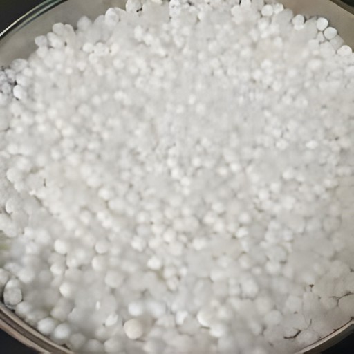 SABUDANA IB (INDIA) 400 GM