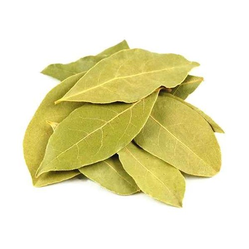 BAY LEAVES IB (INDIA) 25 GM