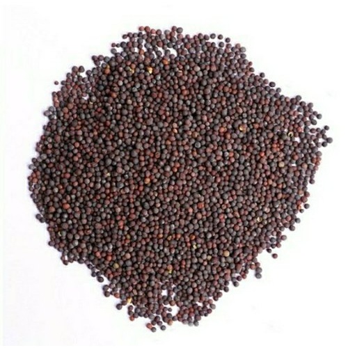 MUSTARD SEED BIG INDIA BAZAAR 4 LBS
