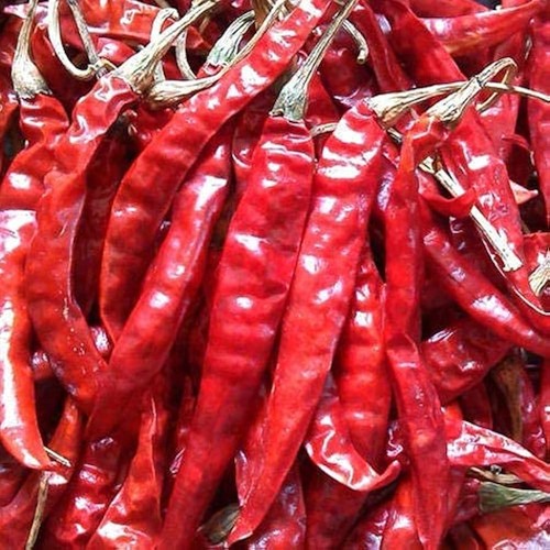 India Bazaar Whole Chili’s 200 GM