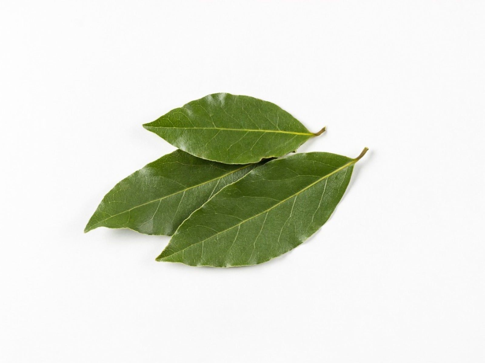 BAY LEAVES GRAIN MARKET