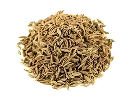CUMIN SEED GM 100 GM