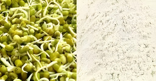 NBK Sprouted Moong Flour 1 KG