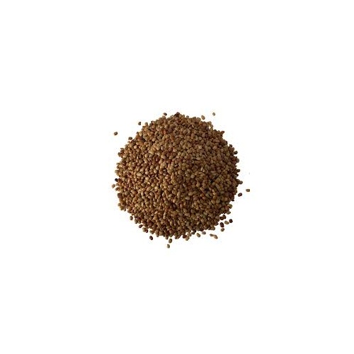 SAURABHI 2 LBS