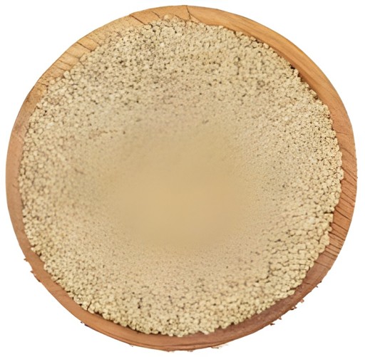 SHAST PROS MILLET 500 GM
