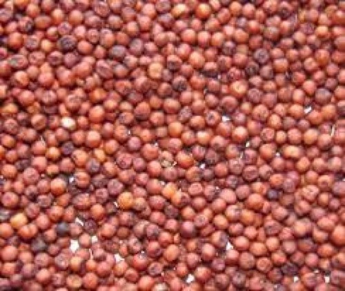 Broken Finger Millet 500 GM